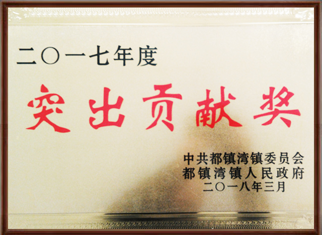 1563952246140326.jpg 2017年突出貢獻獎-650.jpg